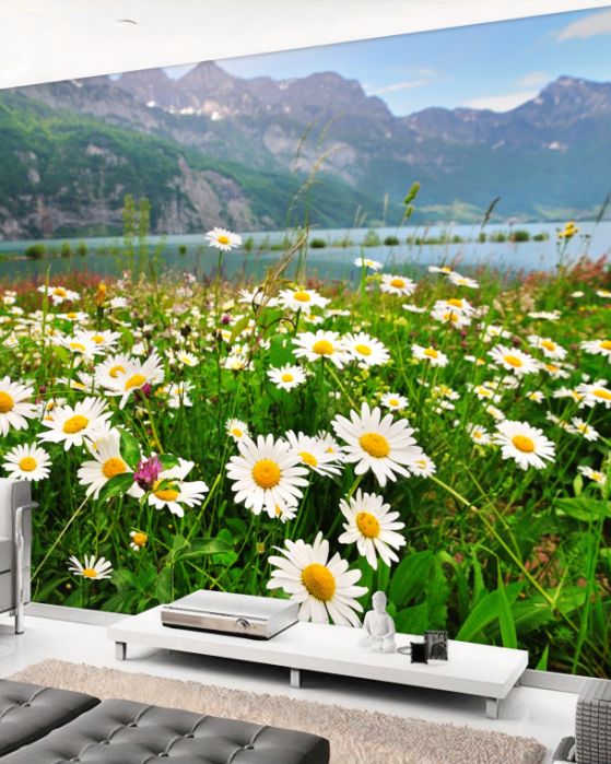 madeliefjes fotobehang