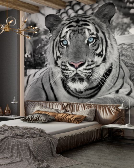Tijgers fotobehang
