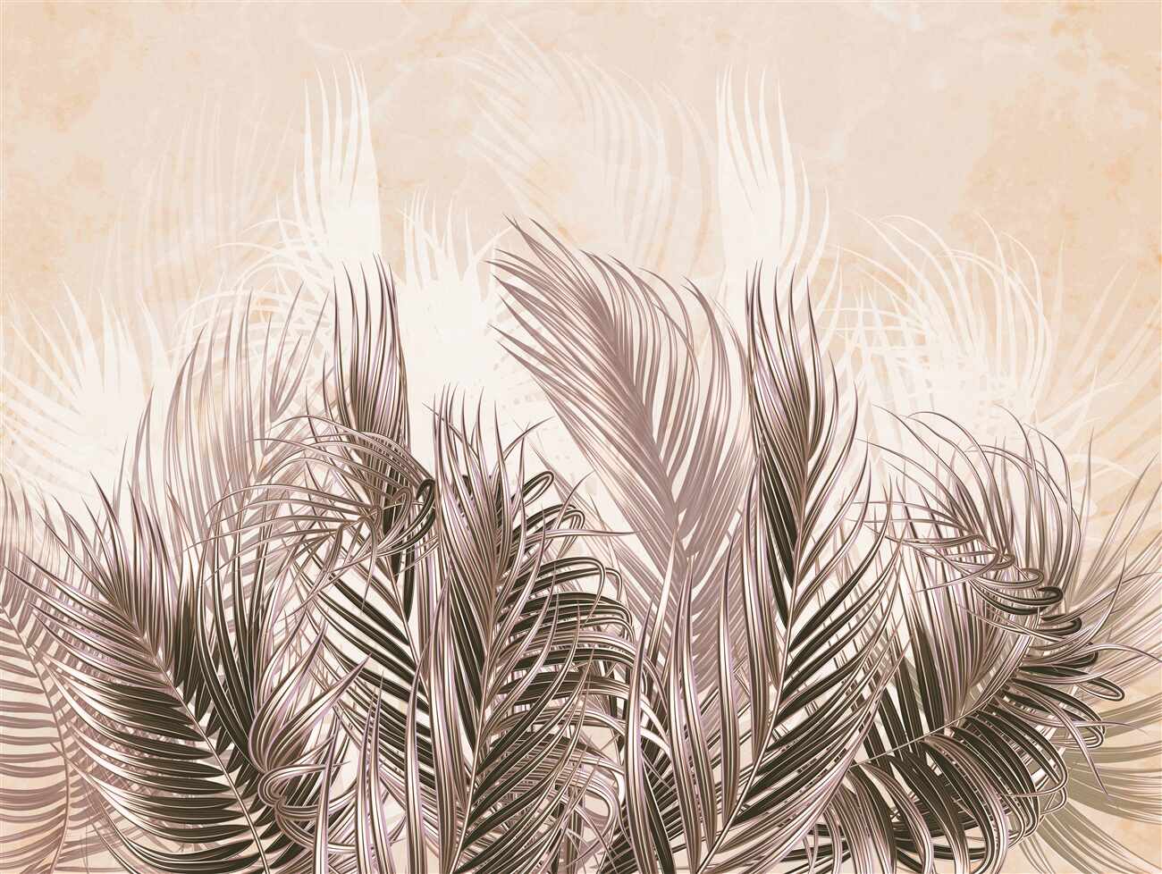Last Product image