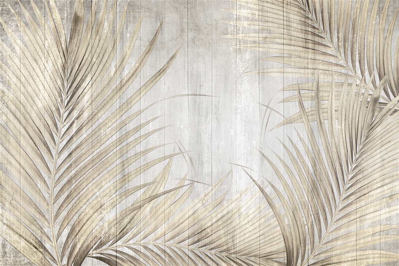 Last Product image