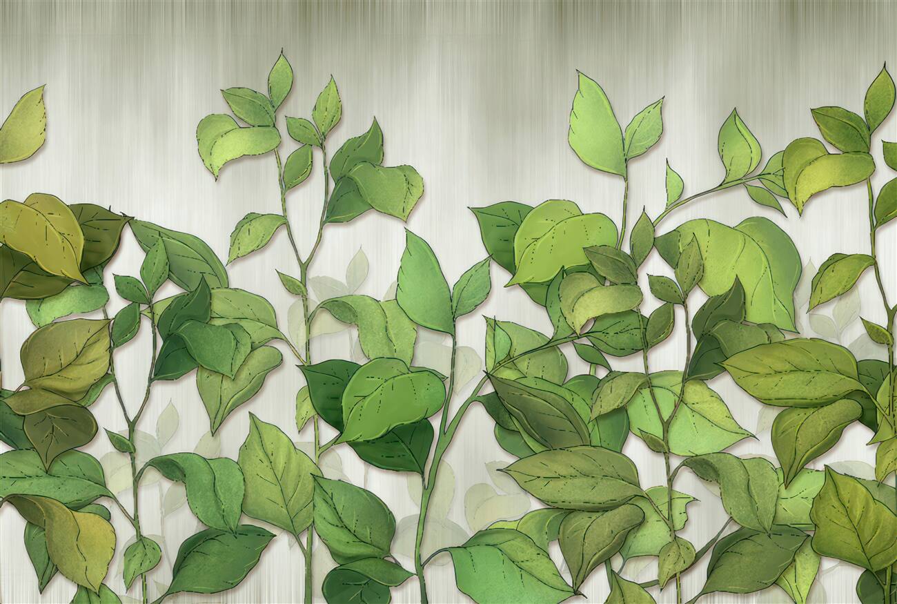 Last Product image