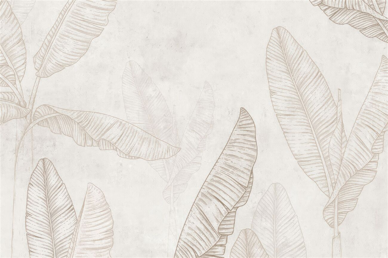 Last Product image