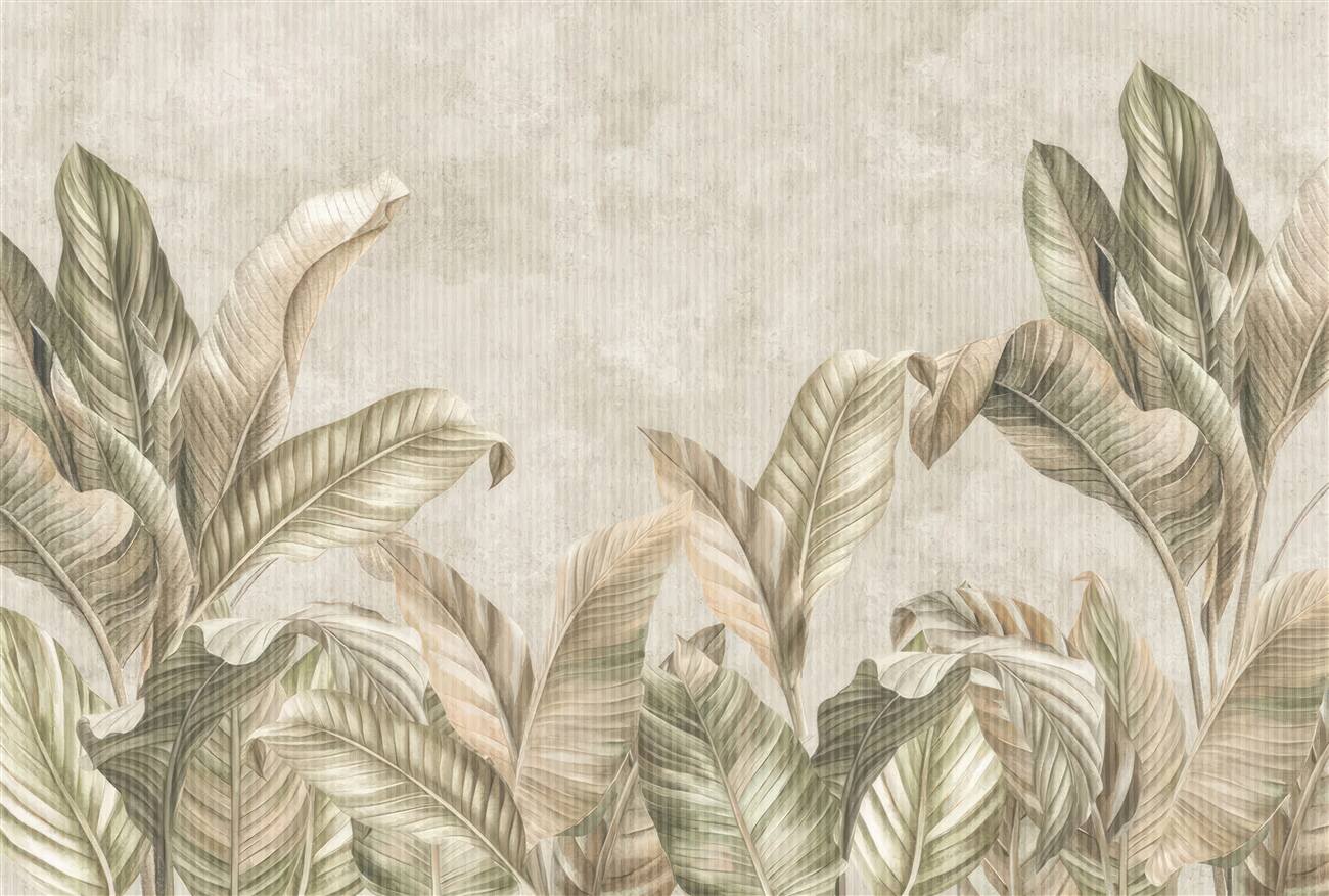 Last Product image