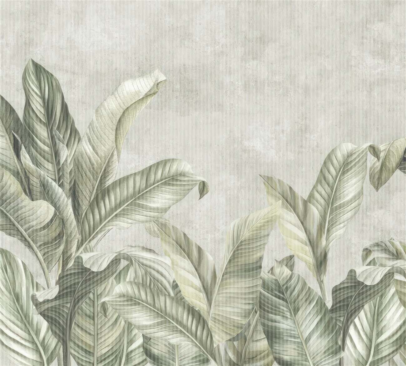 Last Product image