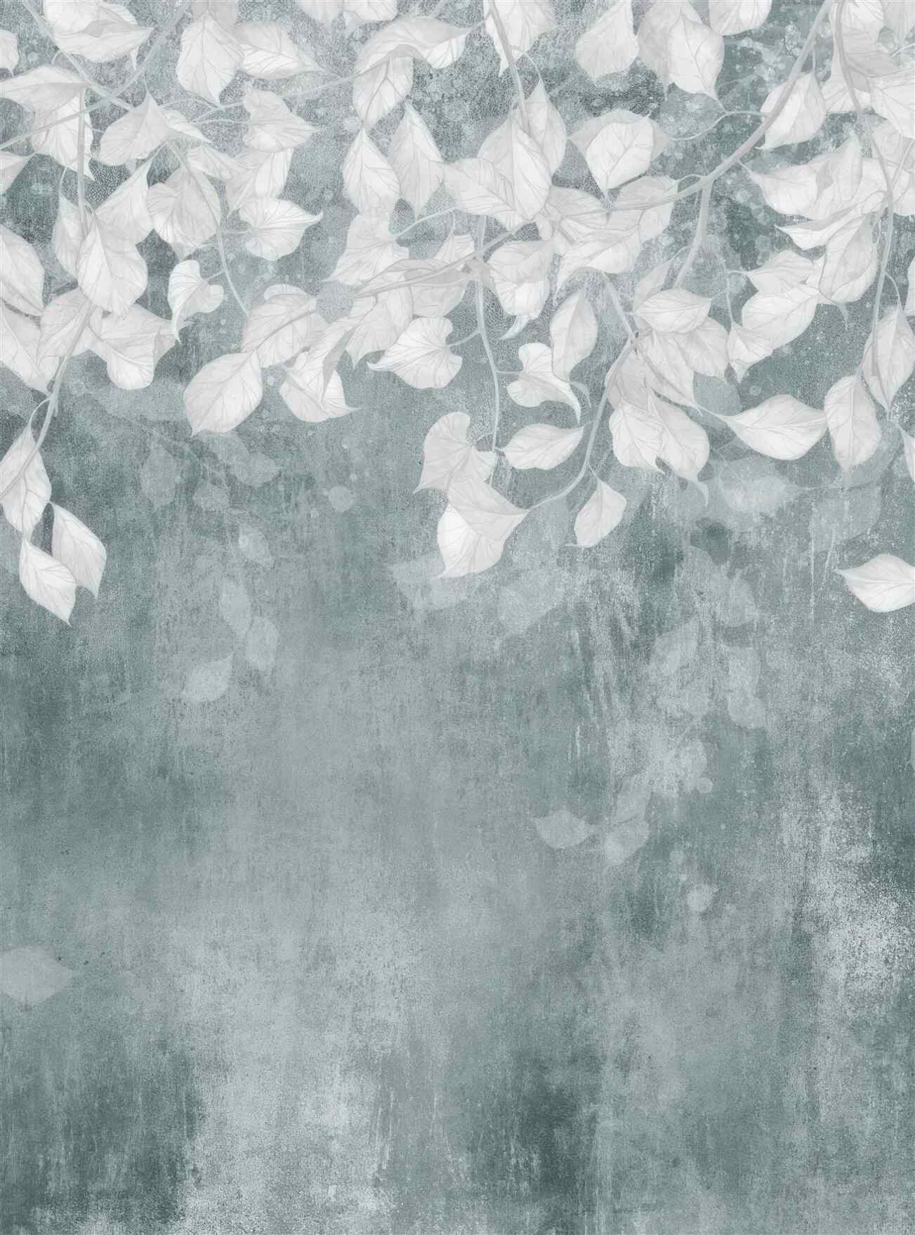 Last Product image