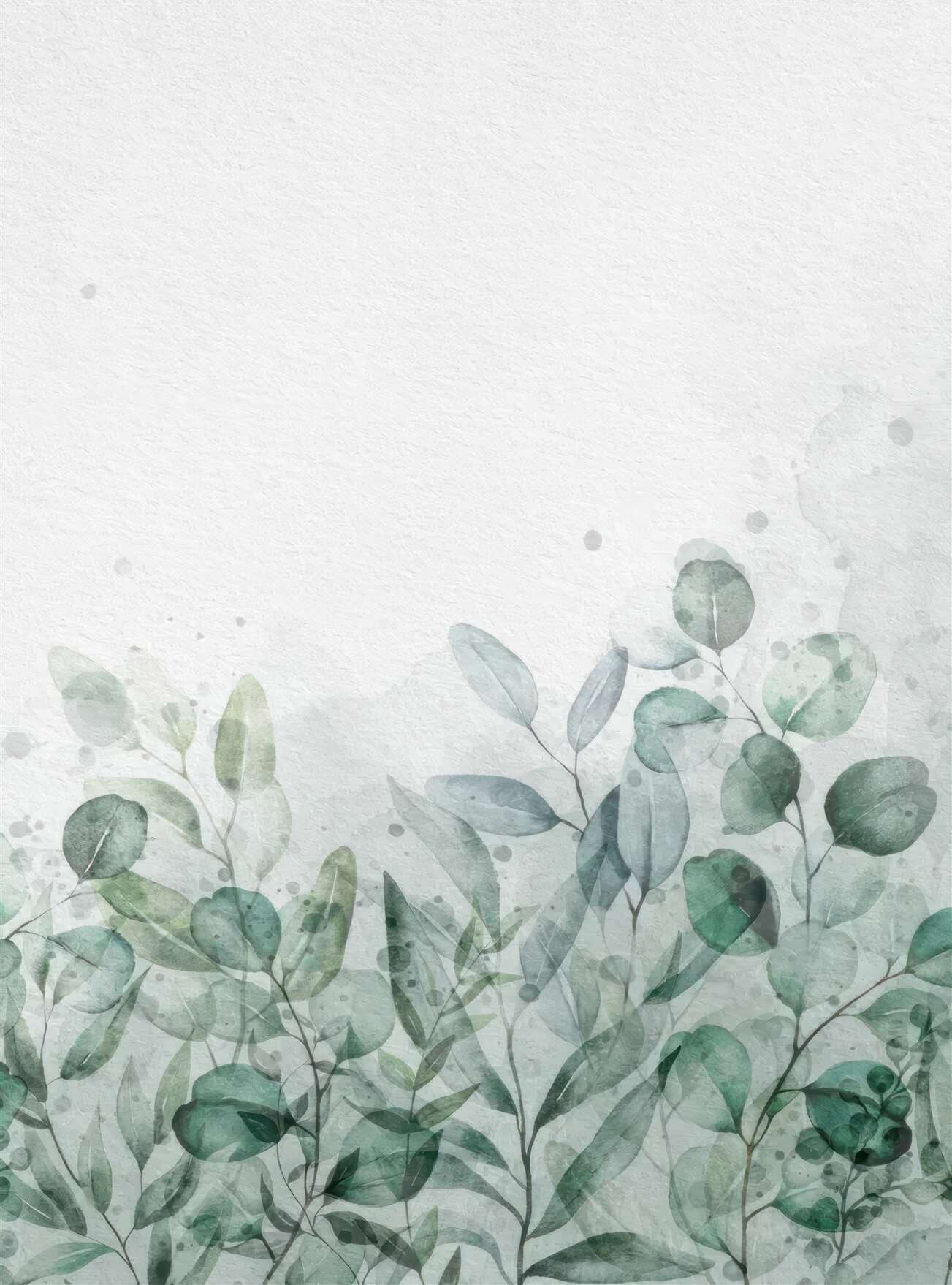Last Product image
