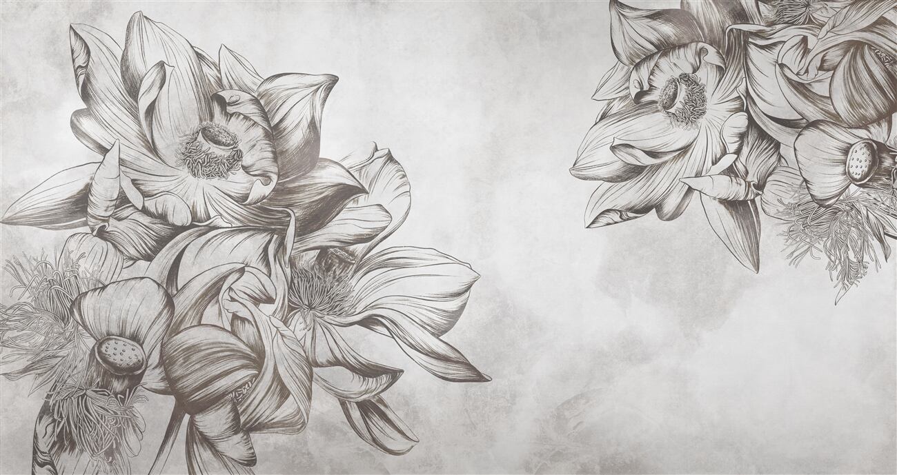 Last Product image