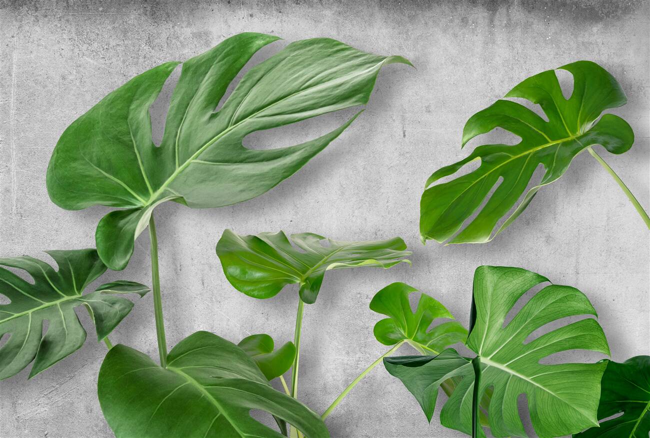 Last Product image