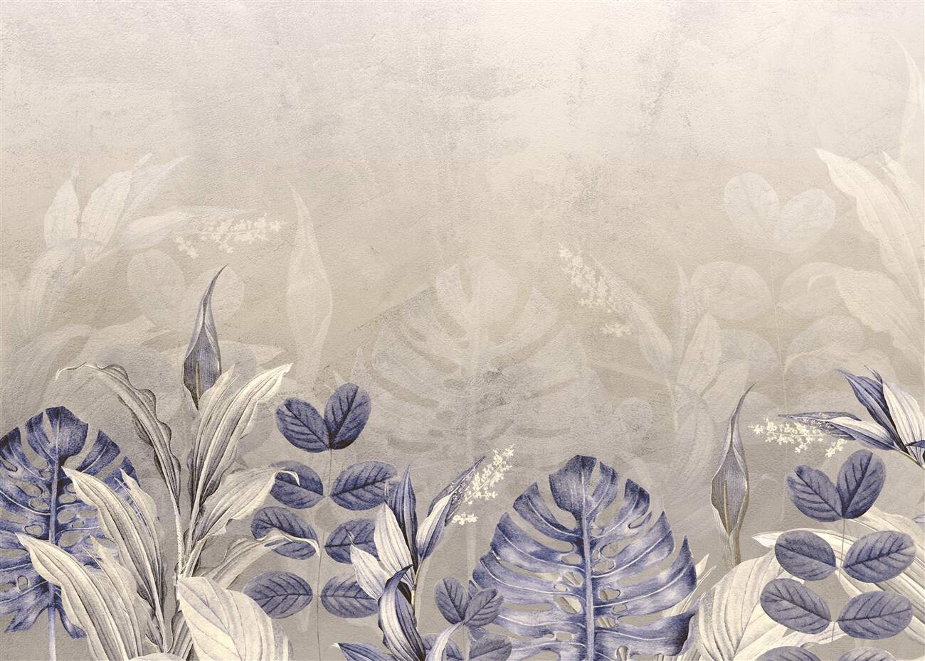 Last Product image