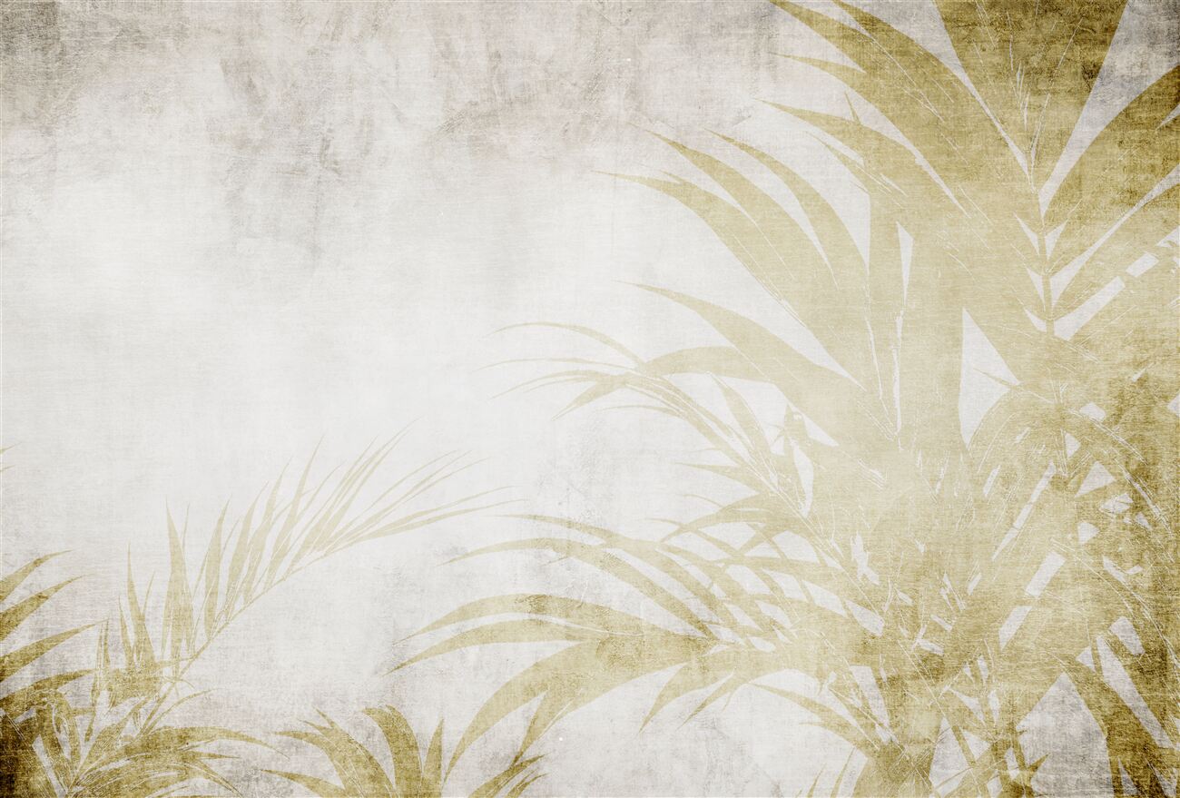 Last Product image