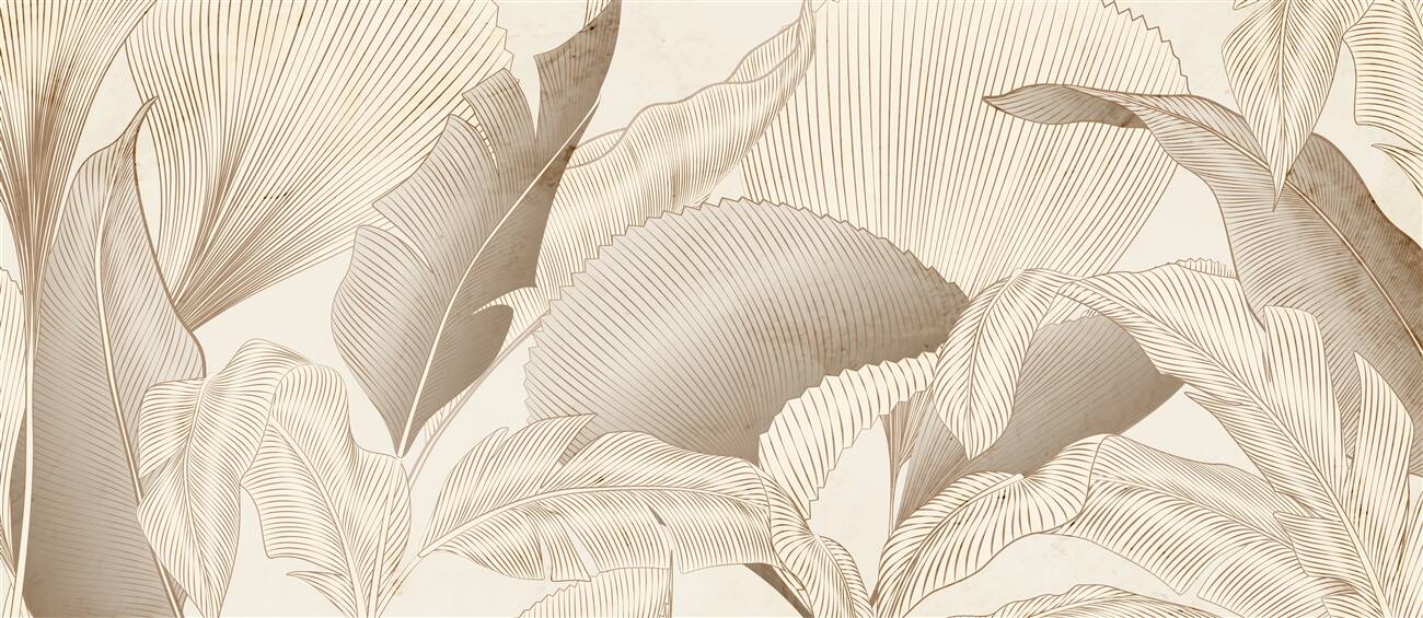 Last Product image
