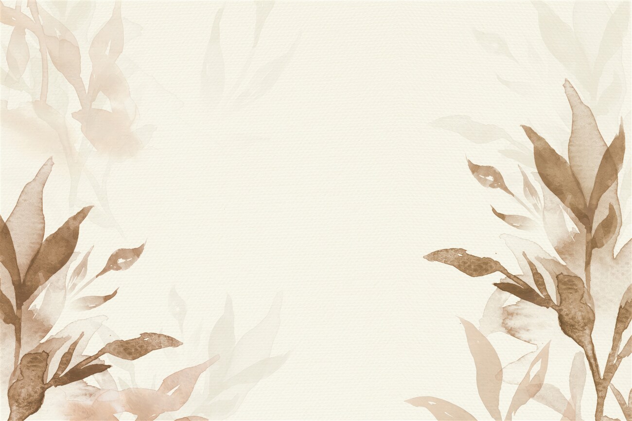 Last Product image