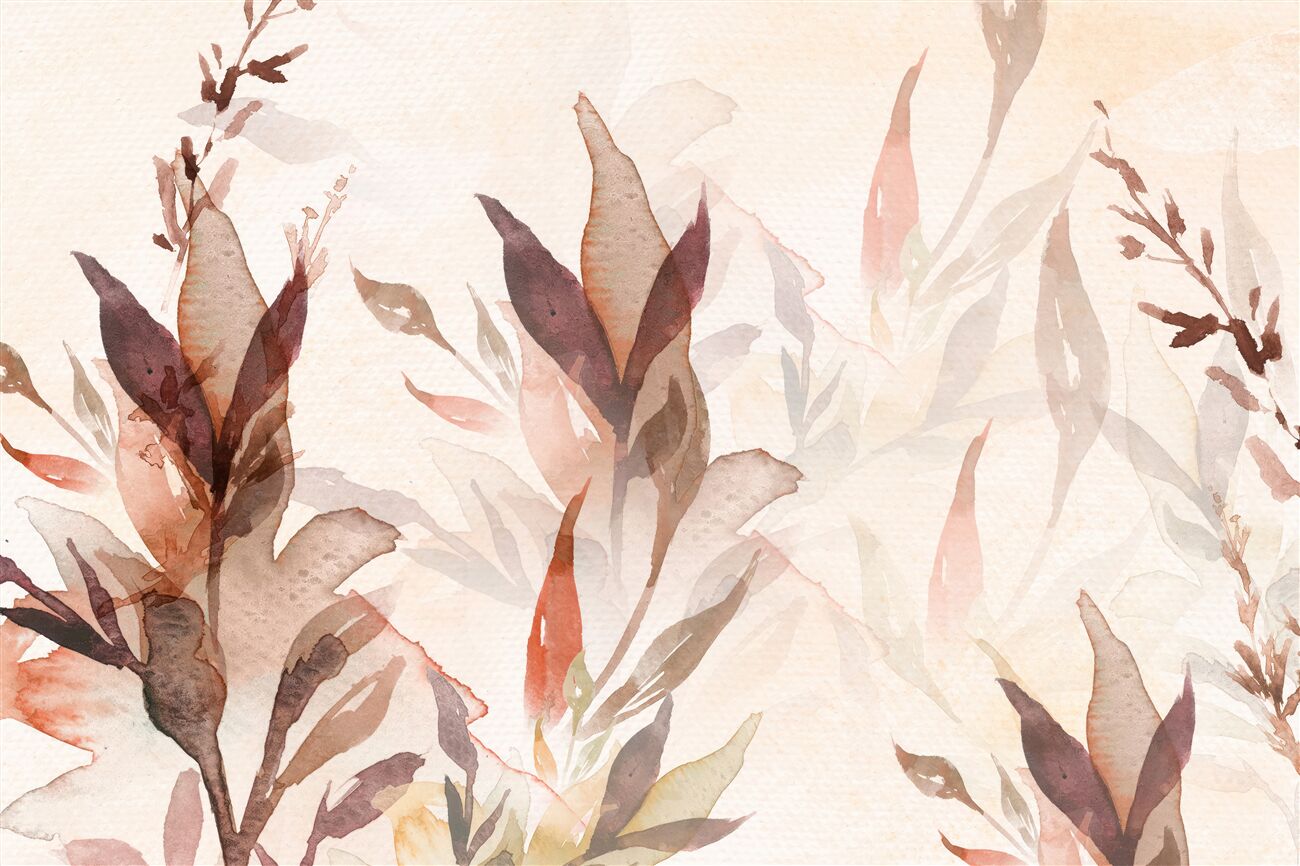 Last Product image