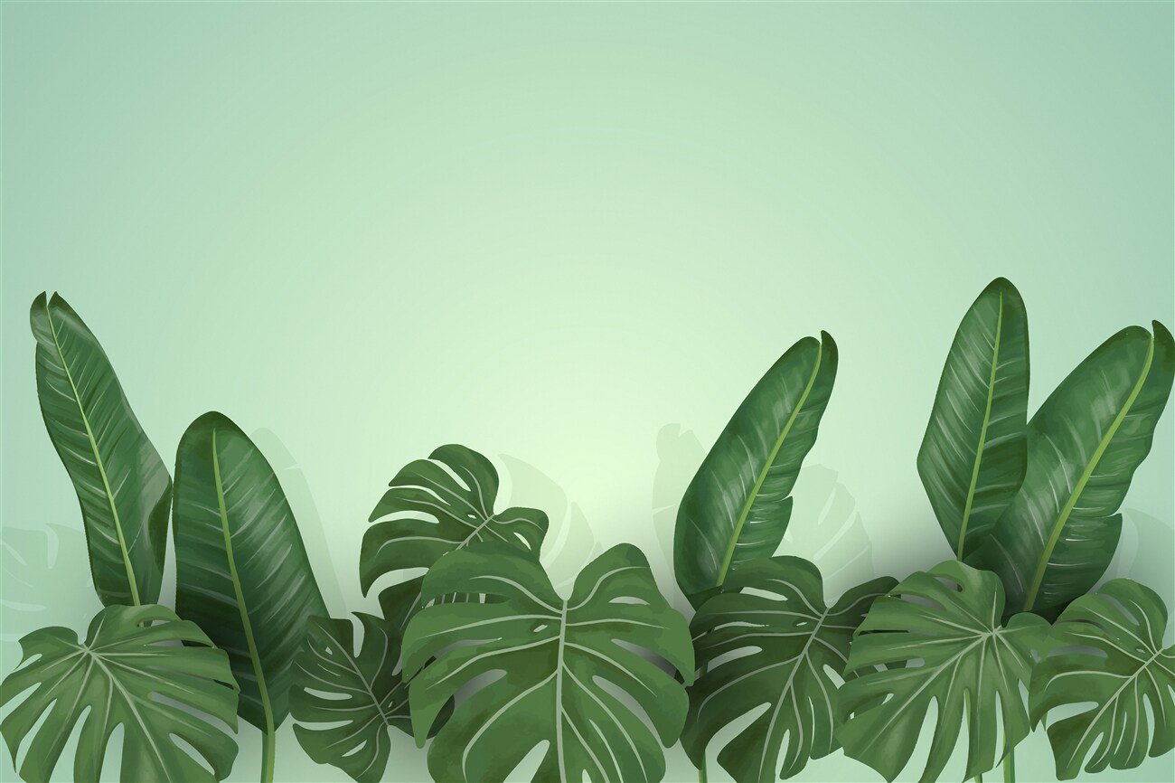 Last Product image