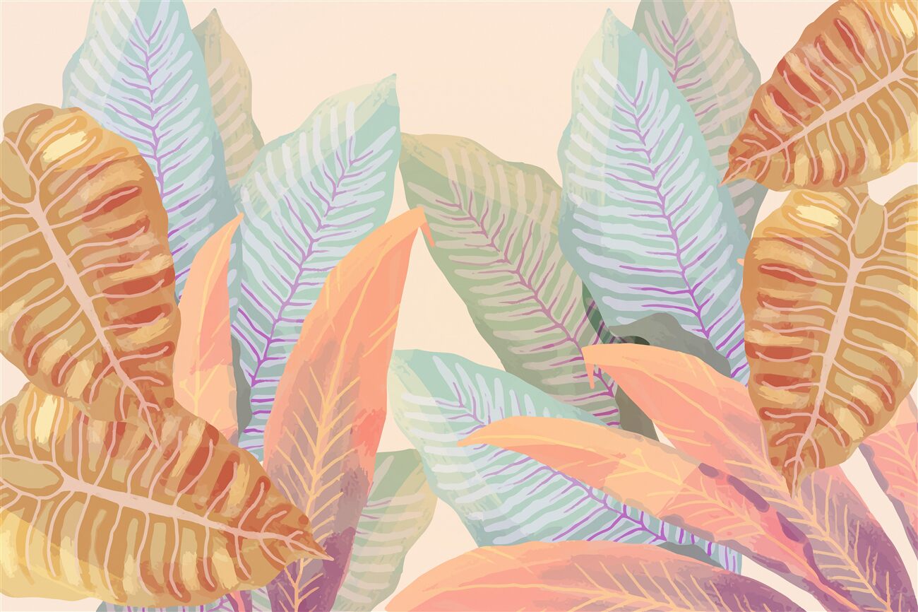 Last Product image
