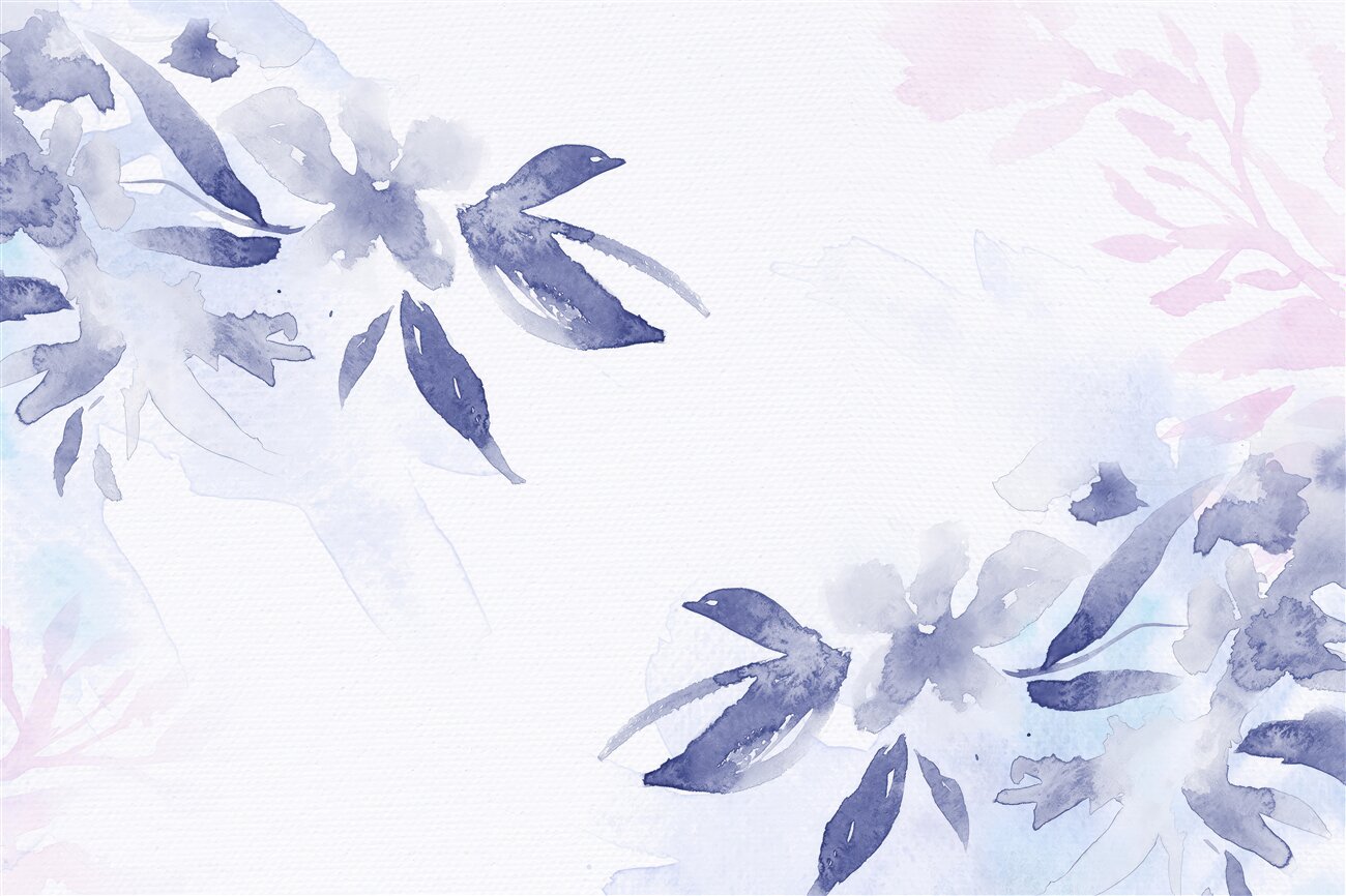 Last Product image