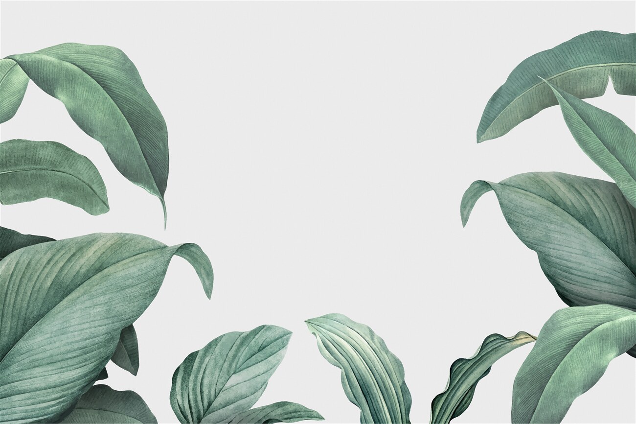 Last Product image